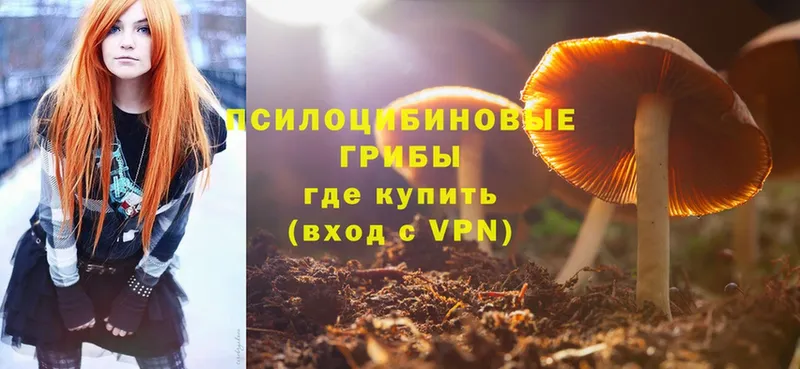 Галлюциногенные грибы Magic Shrooms  где купить наркоту  Сорочинск 